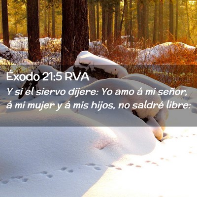 Picture 02 - Éxodo 21:5 RVA - Y si el siervo dijere: Yo amo á mi señor, á mi - Bible Verse Picture