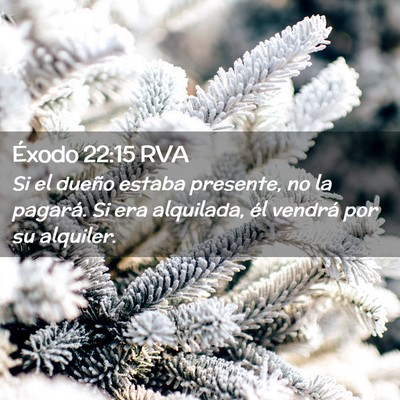 Picture 02 - Éxodo 22:15 RVA - Si el dueño estaba presente, no la pagará. Si - Bible Verse Picture