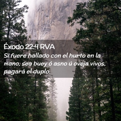 Picture 02 - Éxodo 22:4 RVA - Si fuere hallado con el hurto en la mano, sea - Bible Verse Picture