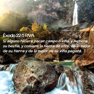 Picture 02 - Éxodo 22:5 RVA - Si alguno hiciere pacer campo ó viña, y metiere - Bible Verse Picture