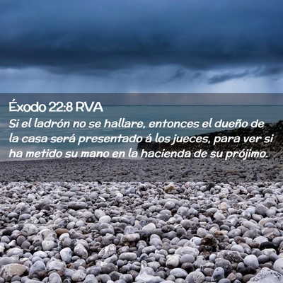 Picture 02 - Éxodo 22:8 RVA - Si el ladrón no se hallare, entonces el dueño - Bible Verse Picture