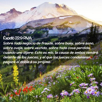 Picture 02 - Éxodo 22:9 RVA - Sobre todo negocio de fraude, sobre buey, sobre - Bible Verse Picture