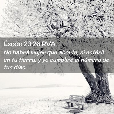 Picture 02 - Éxodo 23:26 RVA - No habrá mujer que aborte, ni estéril en tu - Bible Verse Picture