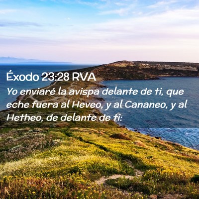 Picture 02 - Éxodo 23:28 RVA - Yo enviaré la avispa delante de ti, que eche - Bible Verse Picture