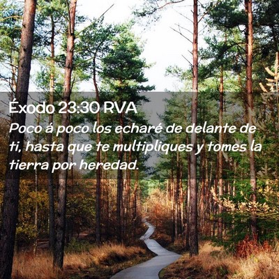 Picture 02 - Éxodo 23:30 RVA - Poco á poco los echaré de delante de ti, hasta - Bible Verse Picture