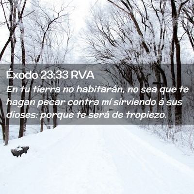 Picture 02 - Éxodo 23:33 RVA - En tu tierra no habitarán, no sea que te hagan - Bible Verse Picture