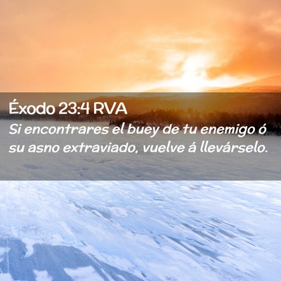 Picture 02 - Éxodo 23:4 RVA - Si encontrares el buey de tu enemigo ó su asno - Bible Verse Picture