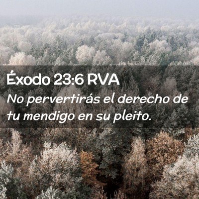 Picture 02 - Éxodo 23:6 RVA - No pervertirás el derecho de tu mendigo en su - Bible Verse Picture