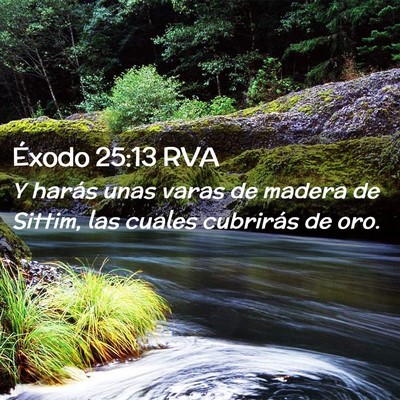 Picture 02 - Éxodo 25:13 RVA - Y harás unas varas de madera de Sittim, las - Bible Verse Picture
