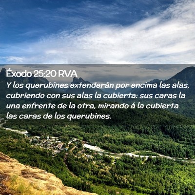 Picture 02 - Éxodo 25:20 RVA - Y los querubines extenderán por encima las alas, - Bible Verse Picture