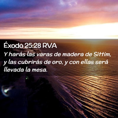 Picture 02 - Éxodo 25:28 RVA - Y harás las varas de madera de Sittim, y las - Bible Verse Picture