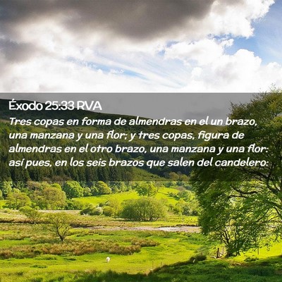 Picture 02 - Éxodo 25:33 RVA - Tres copas en forma de almendras en el un brazo, - Bible Verse Picture