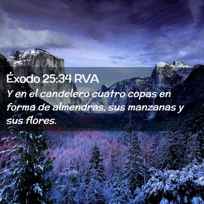 Picture 02 - Éxodo 25:34 RVA - Y en el candelero cuatro copas en forma de - Bible Verse Picture