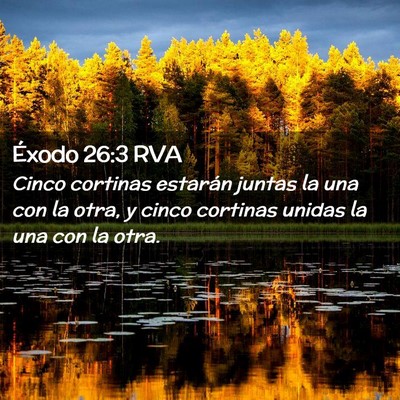 Picture 02 - Éxodo 26:3 RVA - Cinco cortinas estarán juntas la una con la - Bible Verse Picture