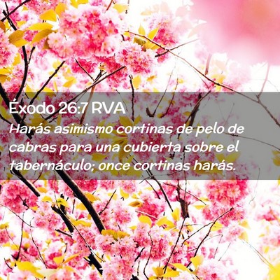 Picture 02 - Éxodo 26:7 RVA - Harás asimismo cortinas de pelo de cabras para - Bible Verse Picture