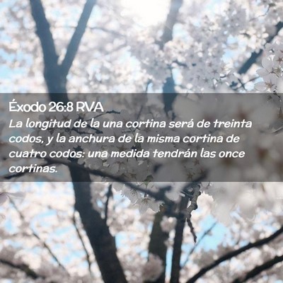 Picture 02 - Éxodo 26:8 RVA - La longitud de la una cortina será de treinta - Bible Verse Picture