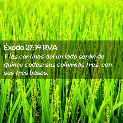 Picture 02 - Éxodo 27:14 RVA - Y las cortinas del un lado serán de quince - Bible Verse Picture