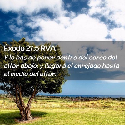 Picture 02 - Éxodo 27:5 RVA - Y lo has de poner dentro del cerco del altar - Bible Verse Picture