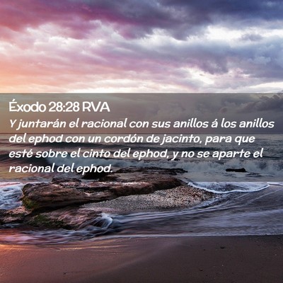 Picture 02 - Éxodo 28:28 RVA - Y juntarán el racional con sus anillos á los - Bible Verse Picture