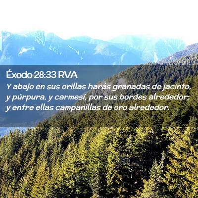 Picture 02 - Éxodo 28:33 RVA - Y abajo en sus orillas harás granadas de - Bible Verse Picture