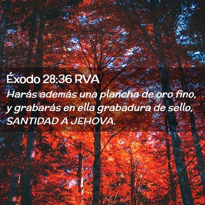 Picture 02 - Éxodo 28:36 RVA - Harás además una plancha de oro fino, y - Bible Verse Picture
