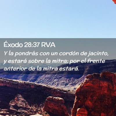 Picture 02 - Éxodo 28:37 RVA - Y la pondrás con un cordón de jacinto, y - Bible Verse Picture