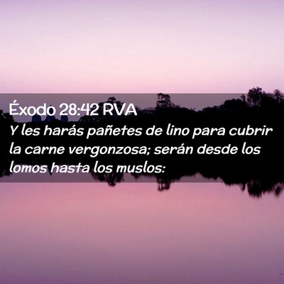 Picture 02 - Éxodo 28:42 RVA - Y les harás pañetes de lino para cubrir la - Bible Verse Picture