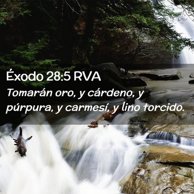 Picture 02 - Éxodo 28:5 RVA - Tomarán oro, y cárdeno, y púrpura, y carmesí, - Bible Verse Picture