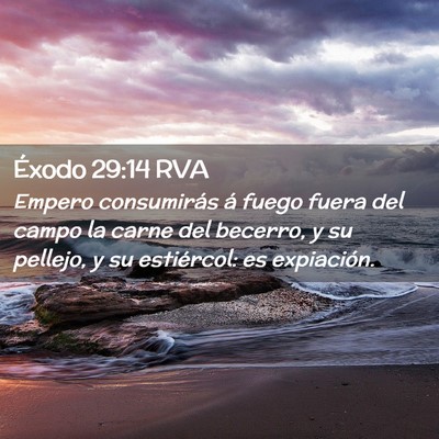 Picture 02 - Éxodo 29:14 RVA - Empero consumirás á fuego fuera del campo la - Bible Verse Picture