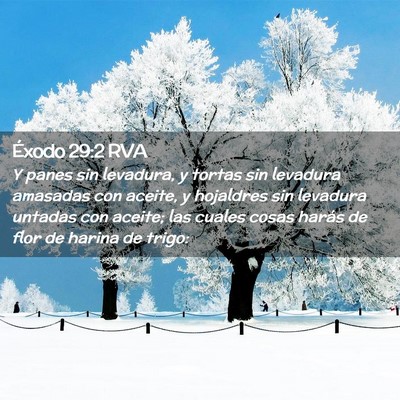 Picture 02 - Éxodo 29:2 RVA - Y panes sin levadura, y tortas sin levadura - Bible Verse Picture
