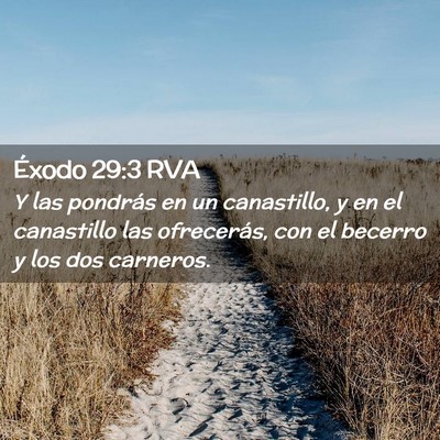 Picture 02 - Éxodo 29:3 RVA - Y las pondrás en un canastillo, y en el - Bible Verse Picture