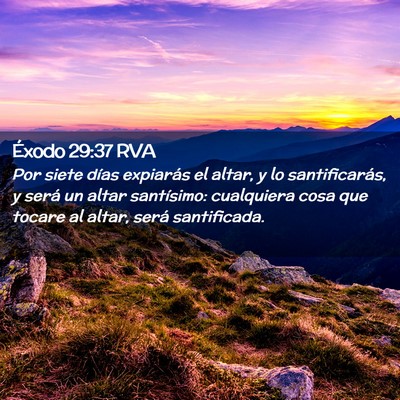 Picture 02 - Éxodo 29:37 RVA - Por siete días expiarás el altar, y lo - Bible Verse Picture