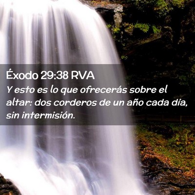 Picture 02 - Éxodo 29:38 RVA - Y esto es lo que ofrecerás sobre el altar: dos - Bible Verse Picture