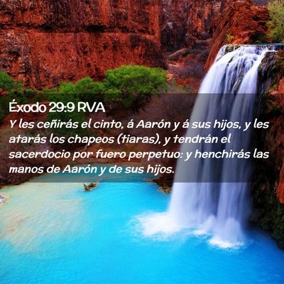 Picture 02 - Éxodo 29:9 RVA - Y les ceñirás el cinto, á Aarón y á sus - Bible Verse Picture