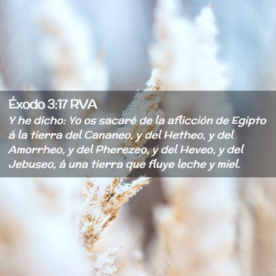 Picture 02 - Éxodo 3:17 RVA - Y he dicho: Yo os sacaré de la aflicción de - Bible Verse Picture