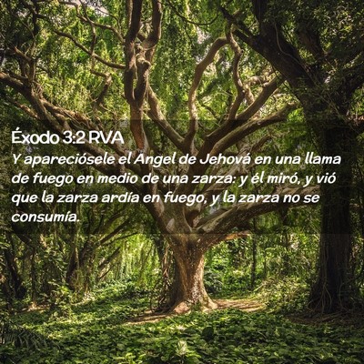 Picture 02 - Éxodo 3:2 RVA - Y apareciósele el Angel de Jehová en una llama - Bible Verse Picture