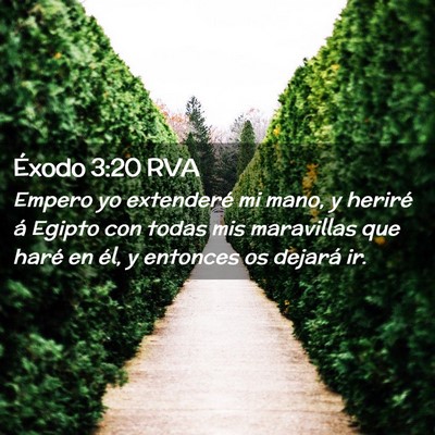 Picture 02 - Éxodo 3:20 RVA - Empero yo extenderé mi mano, y heriré á Egipto - Bible Verse Picture