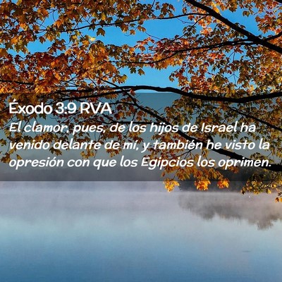 Picture 02 - Éxodo 3:9 RVA - El clamor, pues, de los hijos de Israel ha venido - Bible Verse Picture