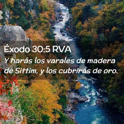Picture 02 - Éxodo 30:5 RVA - Y harás los varales de madera de Sittim, y los - Bible Verse Picture