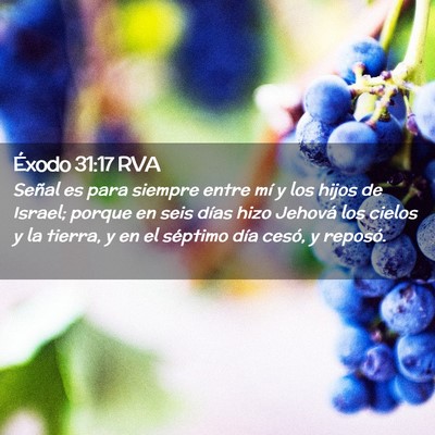 Picture 02 - Éxodo 31:17 RVA - Señal es para siempre entre mí y los hijos de - Bible Verse Picture