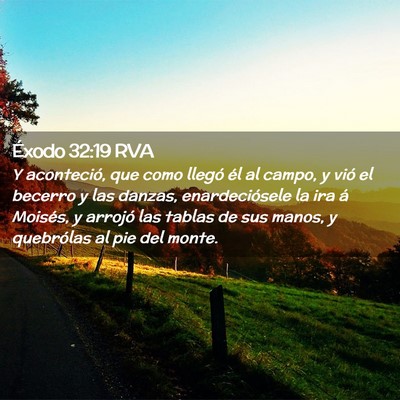 Picture 02 - Éxodo 32:19 RVA - Y aconteció, que como llegó él al campo, y - Bible Verse Picture