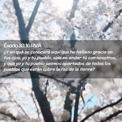 Picture 02 - Éxodo 33:16 RVA - ¿Y en qué se conocerá aquí que he hallado - Bible Verse Picture