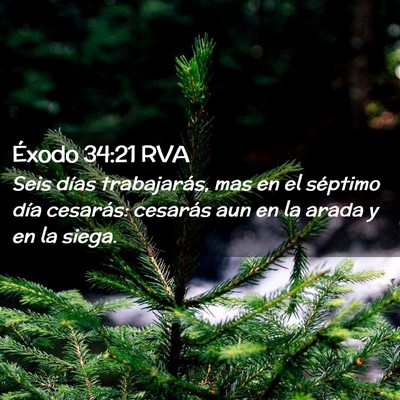 Picture 02 - Éxodo 34:21 RVA - Seis días trabajarás, mas en el séptimo día - Bible Verse Picture
