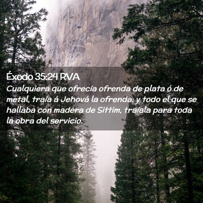 Picture 02 - Éxodo 35:24 RVA - Cualquiera que ofrecía ofrenda de plata ó de - Bible Verse Picture
