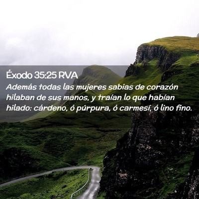 Picture 02 - Éxodo 35:25 RVA - Además todas las mujeres sabias de corazón - Bible Verse Picture
