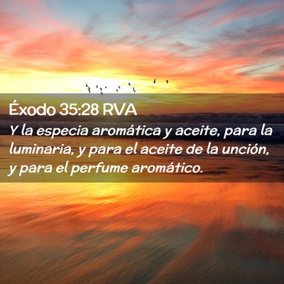 Picture 02 - Éxodo 35:28 RVA - Y la especia aromática y aceite, para la - Bible Verse Picture