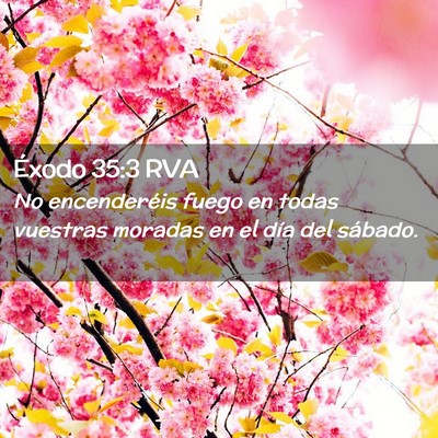 Picture 02 - Éxodo 35:3 RVA - No encenderéis fuego en todas vuestras moradas - Bible Verse Picture