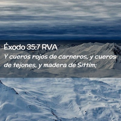 Picture 02 - Éxodo 35:7 RVA - Y cueros rojos de carneros, y cueros de tejones, - Bible Verse Picture