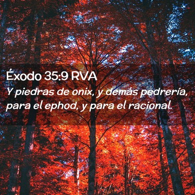 Picture 02 - Éxodo 35:9 RVA - Y piedras de onix, y demás pedrería, para el - Bible Verse Picture