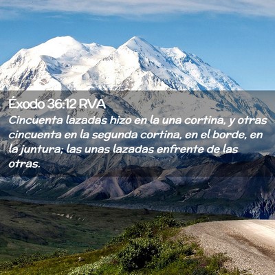 Picture 02 - Éxodo 36:12 RVA - Cincuenta lazadas hizo en la una cortina, y otras - Bible Verse Picture
